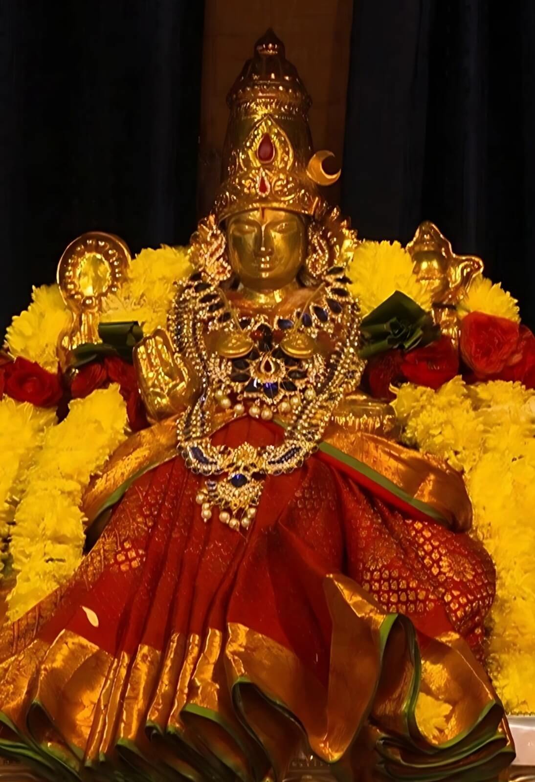 Maa Rajashyamala 3